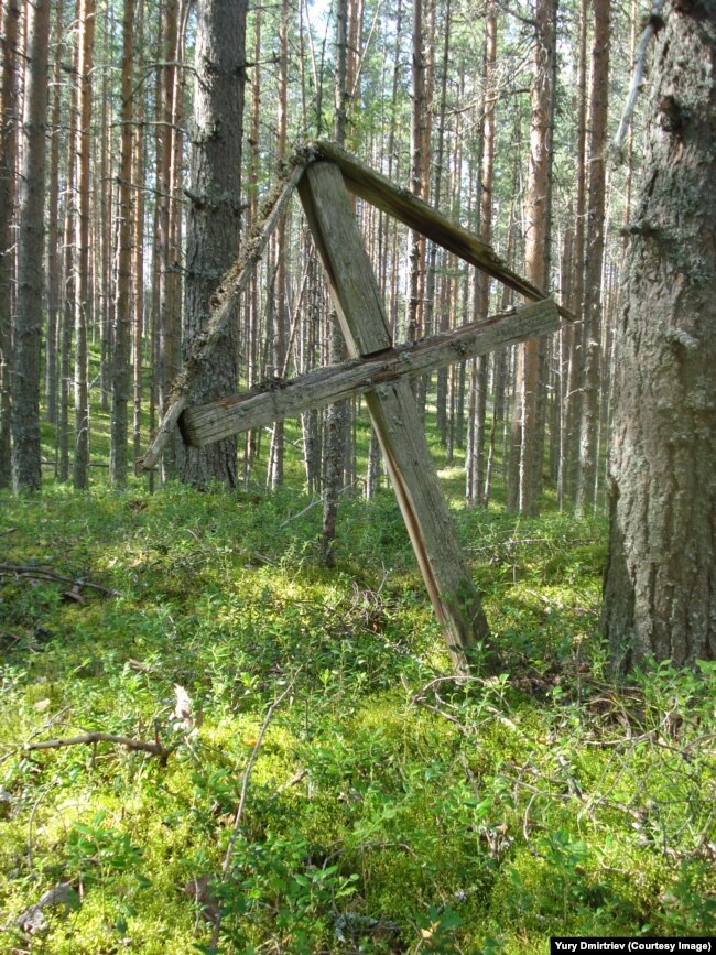 Крест на месте захоронения в Сандармохе