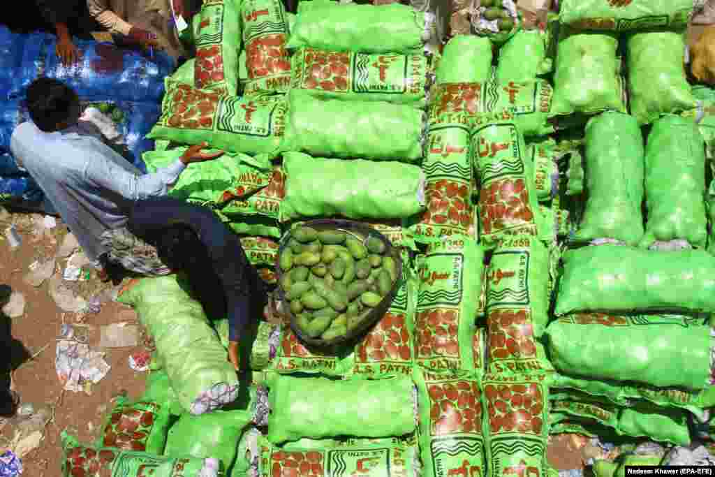 Сартаваньне манга на рынку ў Гайдарабадзе, Індыя. (epa-EFE / Надэм Хавар)