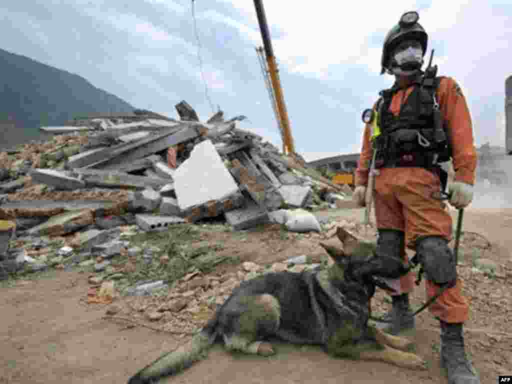 China - A member of a South Korean search and rescue team stands with a sniffer dog at a collapsed chemical factory in Yinghua town near Shifang, 19May2008