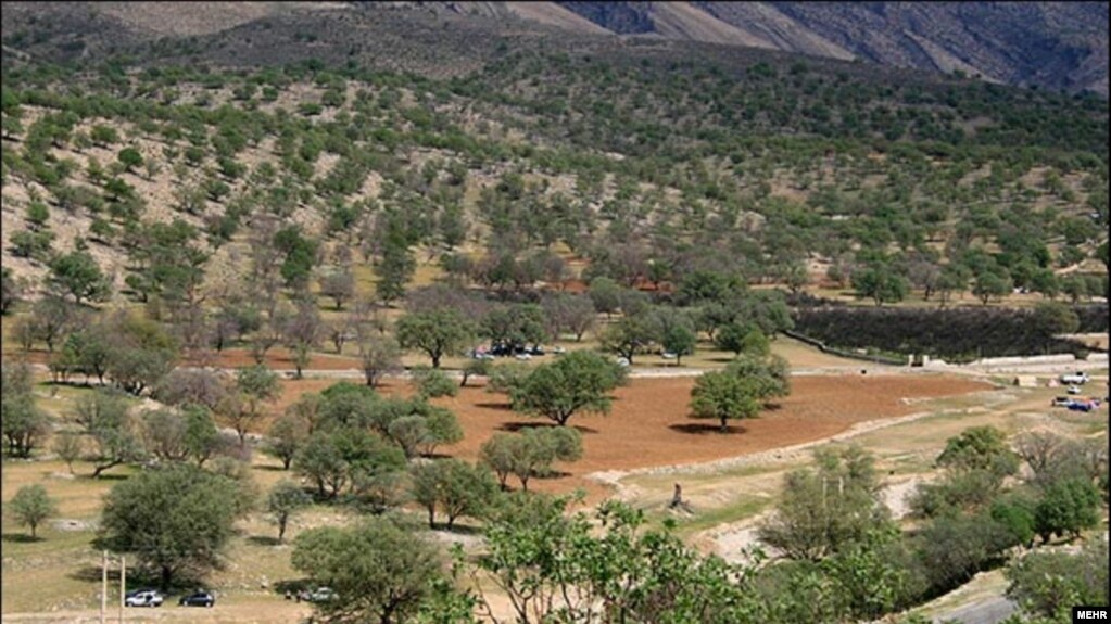 Iran -- Zagros oak forests are dying in Iran, Dashte Barm