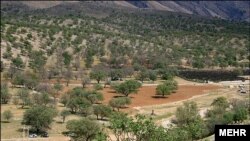 Iran -- Zagros oak forests are dying in Iran, Dashte Barm