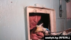 Кыргызстанда кыйнолор негизинен тергөө абактары менен түрмөлөрдө болоору айтылып келет.