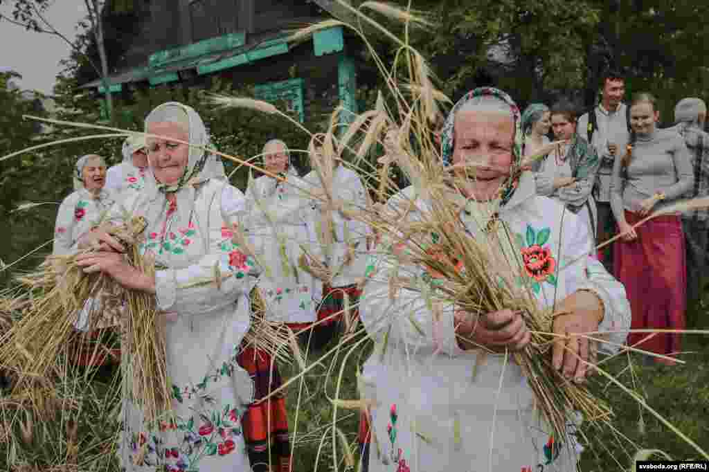 Жанчыны зразаюць першыя каласкі