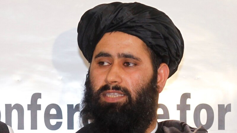طالبان: امریکايي چارواکو سره د سولې بهیر پر چټکوالي وغږېدو