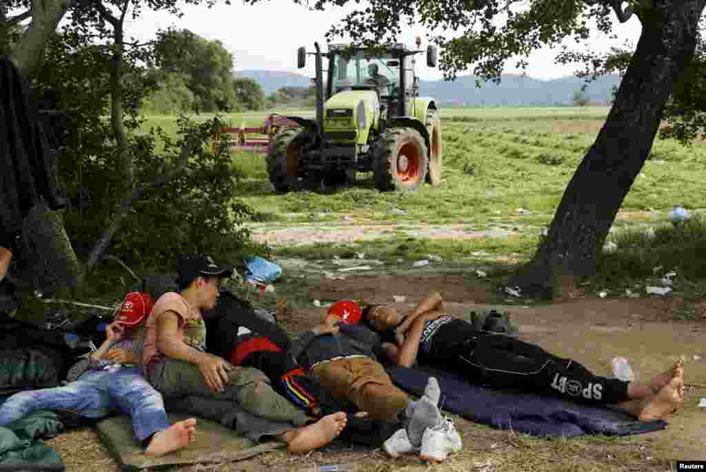 Афганские иммигранты спят на поле рядом с греко-македонской границей