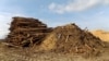 Драўніна каля заводу па вырабе трэсаку Глуску Магілёўскай вобласьці у сакавіку 2019 году