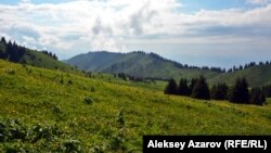 Көкжайлау шатқалы
