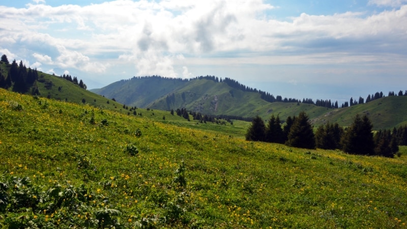 Қоғамда дау тудырған Almaty SuperSki жобасы қажет рұқсаттың 