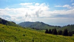 Урочище Кок-Жайляу. Алматы, 16 июня 2019 года.