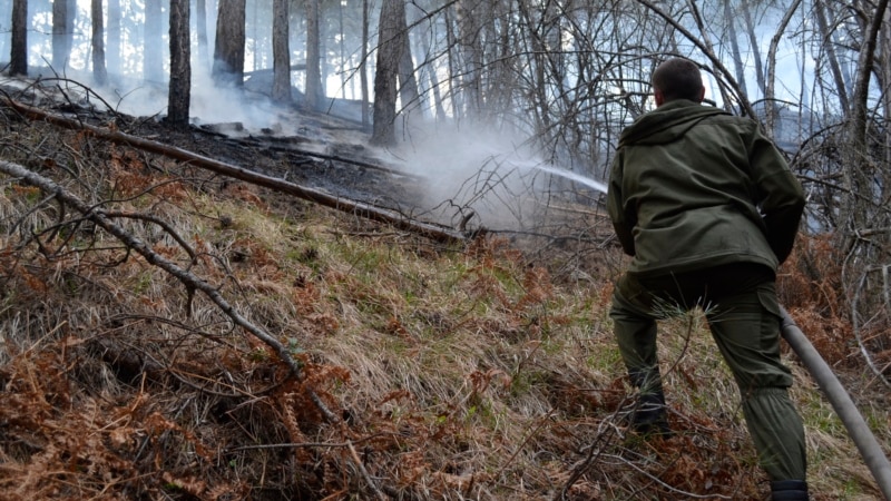 В Симферопольском районе тушат лесной пожар 