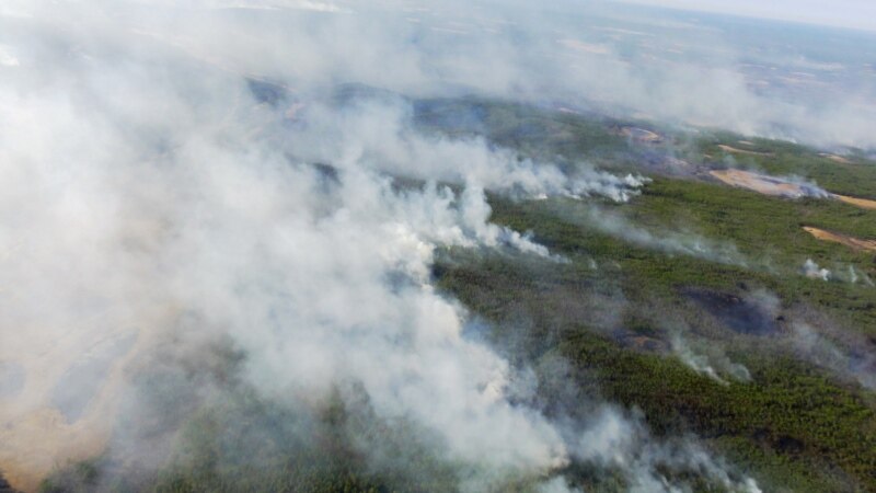 Дым сибирских пожаров достиг Поволжья и Казахстана