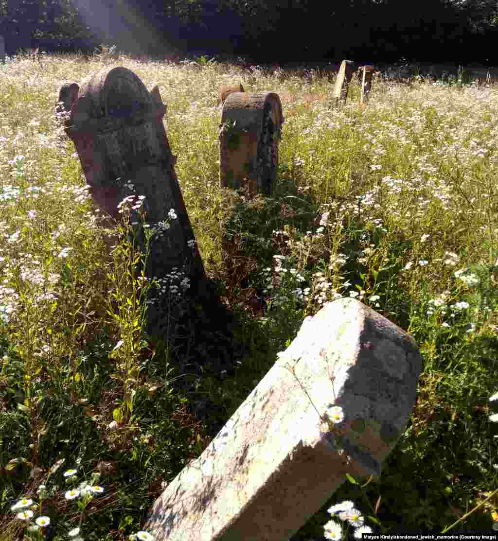 Abandoned graves in a village of rural Hungary. By 1945, after the Nazis’ attempt to exterminate them, Europe's Jewish population had plunged to 3.8 million, and many small Jewish communities throughout the continent were completely wiped out.