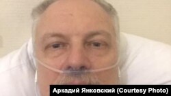Аркадий Янковский