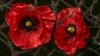 В Европе отмечают День памяти жертв Второй мировой войны