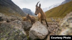 Авторы фотографий – Илья Дровнин и Дмитрий Голубев