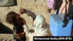 ارشیف، افغانستان کې د پولیو واکسین تطبیق.