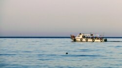 Морское противостояние? ФСБ задержала украинских моряков в Азовском море