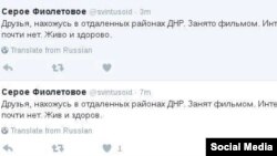 Two tweets from the account of Seroye Fioletovoye that use a different personal pronoun to refer to the missing LGBT activist.