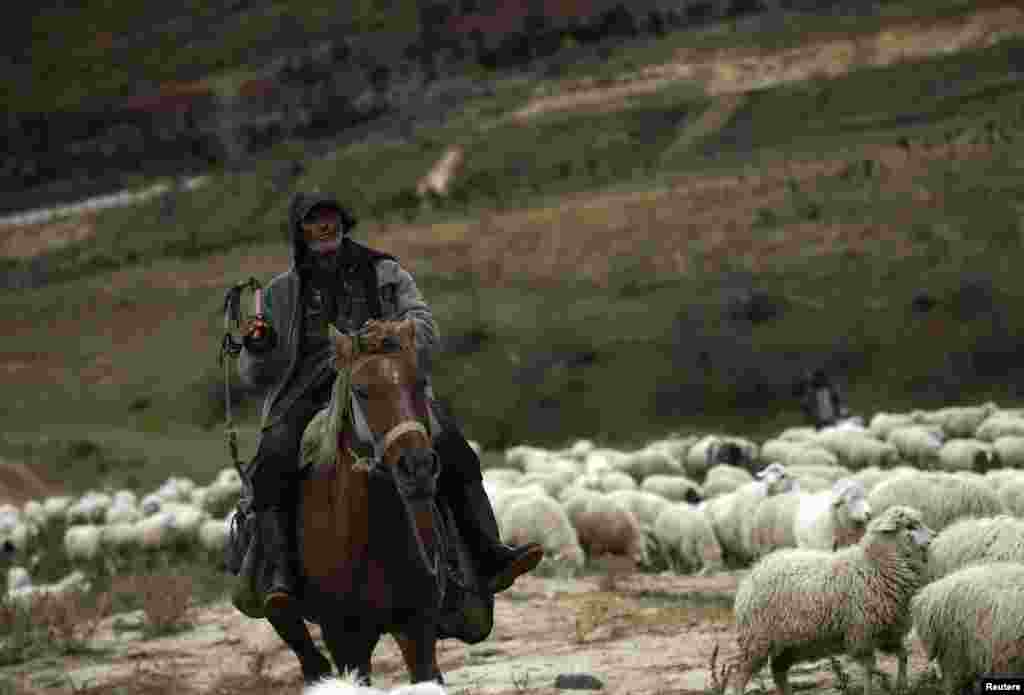 Так как на большей части пути отсутствует дорога, пастухи передвигаются пешком или на конях