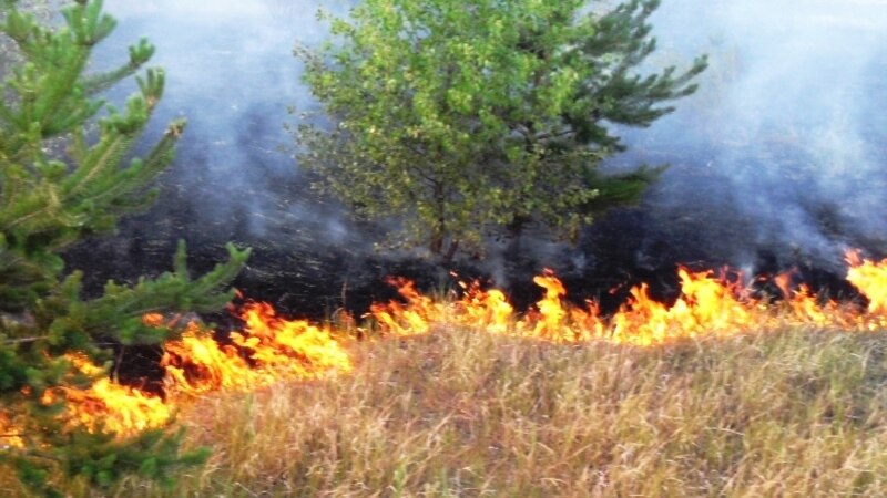 В Ботаническом саду Бишкека произошел четвертый пожар за неделю