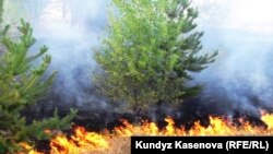 Kazakhstan - Fire in Aktobe region. 03Jul2010.