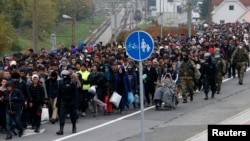 Slovenian police and army escort migrants from the train station to a registration point in the village of Sentilj on October 28.