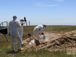 Коронавирустан қайтыс болғандардың зираты. Алматы облысы, Қараой ауылы маңы. 25 мамыр 2020 жыл.