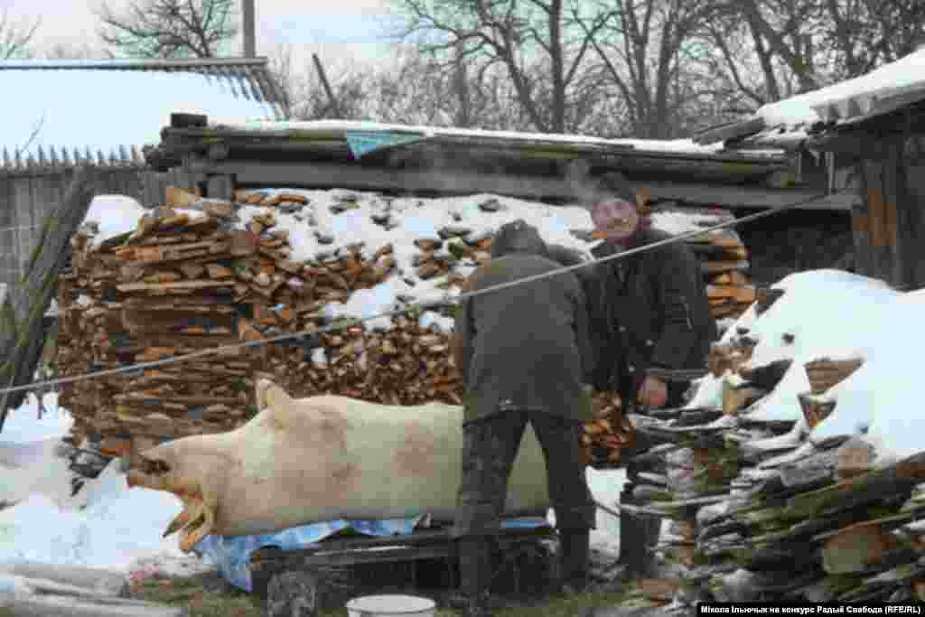 аўтар Мікола Ільючык