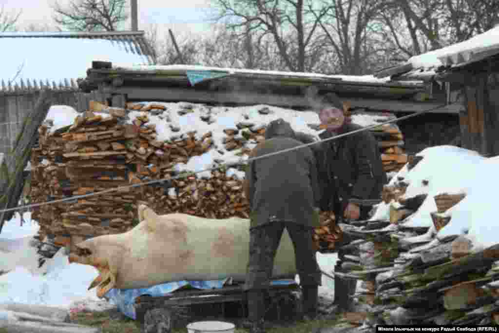 аўтар Мікола Ільючык 