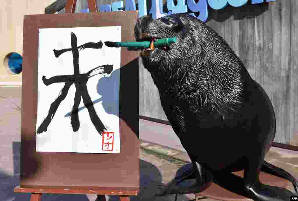 A sea lion paints the Chinese character for &quot;sheep&quot; as part of a New Year&#39;s Day attraction at the Hakkeijima Sea Paradise aquarium in Yokohama in suburban Tokyo. (AFP/Kazuhiro Nogi)