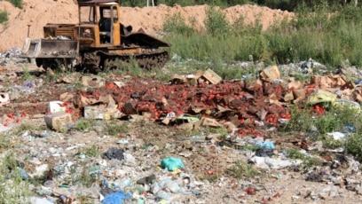 Russia - A bulldozer pressing packages with supposed embargoed tomatoes at the ground of domestic wastes near the village of Gusino outside Smolensk, about 400 km to the northwest from Moscow, Russia, on 06 August 2015