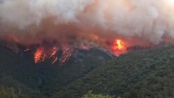Падчас пажару ва Ўсходнім Гіпслэндзе, штат Вікторыя, Аўстралія. 2 студзеня 2020 году