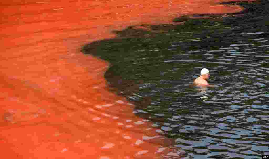 A swimmer stops short of a red algae bloom at Clovelly Beach in Sydney, Australia. The algae closed some beaches for swimming, including Bondi Beach, for a period of time. While the red algae, known as noctiluca scintillans, or sea sparkle, has no toxic effects, people are still advised to avoid swimming in areas with discolored water because the algae, which can be high in ammonia, can cause skin irritation. (AFP/William West)