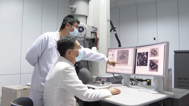 چین کې ۱۷۱۶ روغتیايي کارکونکي په کرونا ویروس اخته شوي