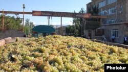 Armenia -- A truckload of grapes is transported to a storage facility in Ararat region run by the Yerevan Brandy Company, 14Sep2010