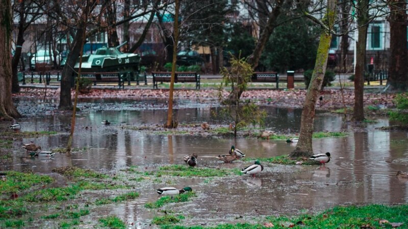 Погода в Крыму: полуостров накроют дожди