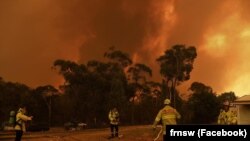 Австралійці продовжують боротьбу з лісовими пожежами