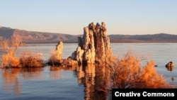 Озеро Mono Lake, Калифорния. Вода озера имеет высокую концентрацию мышьяка. И пригодно для жизни?