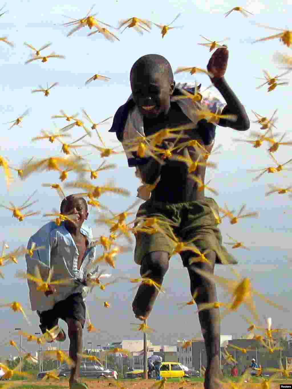 Senegalese children run as locusts spread in the capital Dakar September 1, 2004. Only a military-style operation with bases across West Africa can stop the worst locust invasion for 15 years, Senegal's President Abdoulaye Wade said on Tuesday as the insects swept into his capital. The United Nations Food and Agriculture Organisation (FAO) warned last week that the locust swarms infesting countries from Mauritania to Chad could develop into a full-scale plague without additional foreign aid. REUTERS/Pierre Holtz