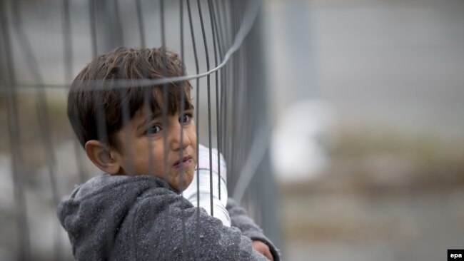 Хлопчик-мігрант дивиться через паркан на австрійсько-словенському кордоні у Шпелфельді, Австрія. Жовтень 2015 року.