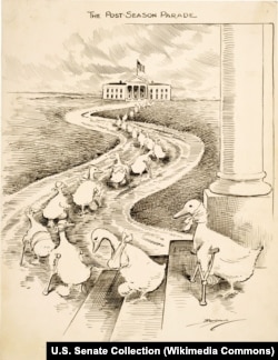 На карикатурі 1915 художник Кліффорд Беррімен зобразив низку конгресменів-демократів, які програли чергові вибори. Каліки-птахи бредуть із Капітолію до Білого дому випрошувати казенні посади у президента Вудро Вілсона