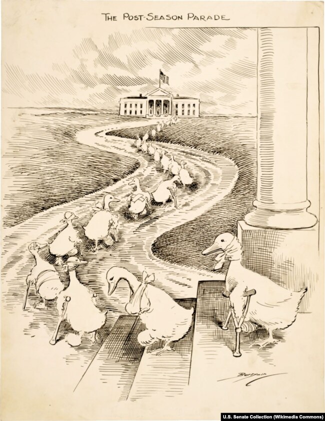 На карикатуре 1915 года художник Клиффорд Бэрримен изобразил вереницу конгрессменов-демократов проигравших очередные выборы. Увечные птицы бредут из Капитолия в Белый дом выпрашивать казенные должности у президента Вудро Вильсона