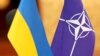 Більше половини українців підтримують членство у НАТО – опитування