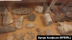 Древние окаменелости из башкирских шиханов