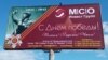 The MSO Invest Group blanketed the Russian town of Veliky Ustyug with advertisements and billboards in a bid to lure investors. 