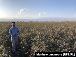 Abdukholik Gadoev surveys his cotton field at the end of a summer that produced another poor harvest.