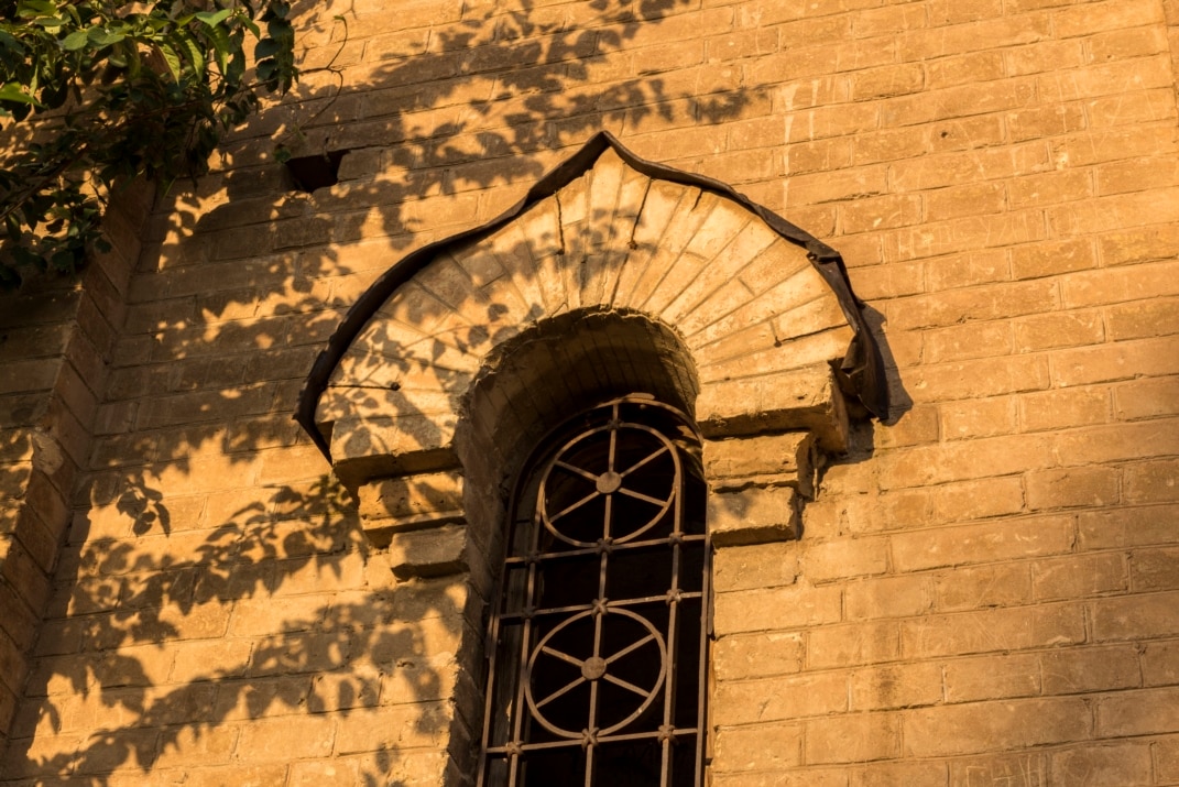 Ит стиліндегі фотосуреттердегі шашты әйелдер