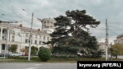 Севастополь, иллюстрационное фото 