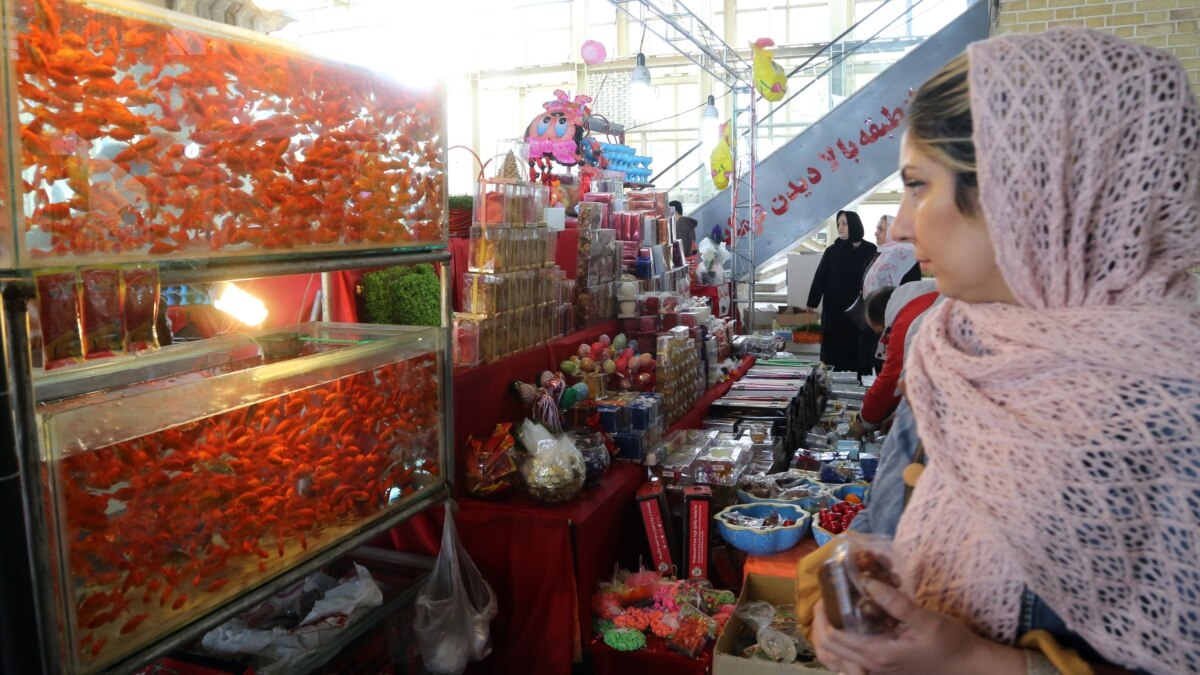 Killing Goldfish In Tehran Persian New