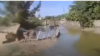 В Мары и Лебапе ряд сёл затопило водой из Каракумского канала и Амударьи
